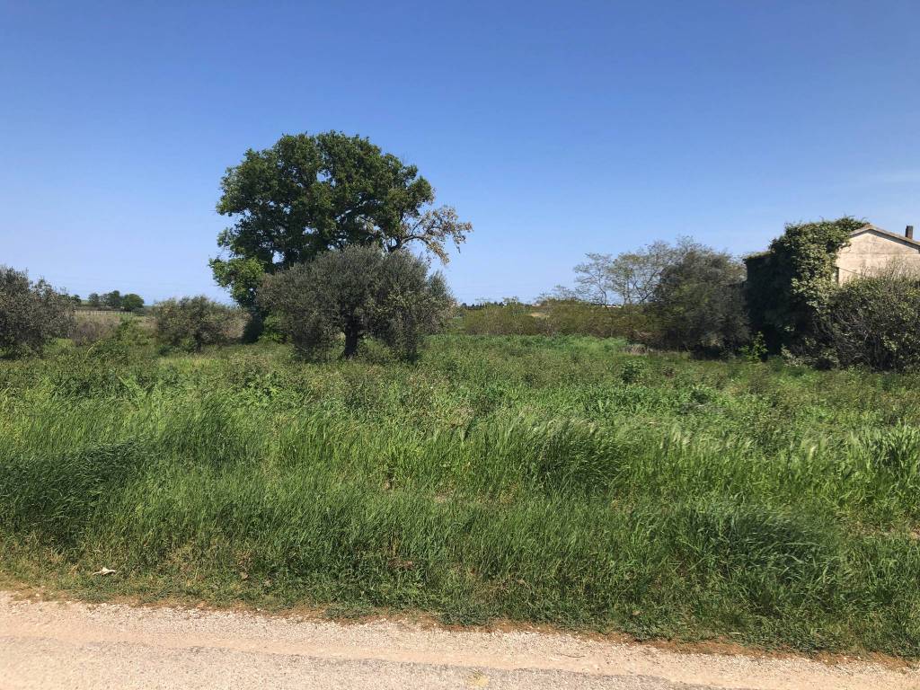 Terreno a Vasto - Foto 3