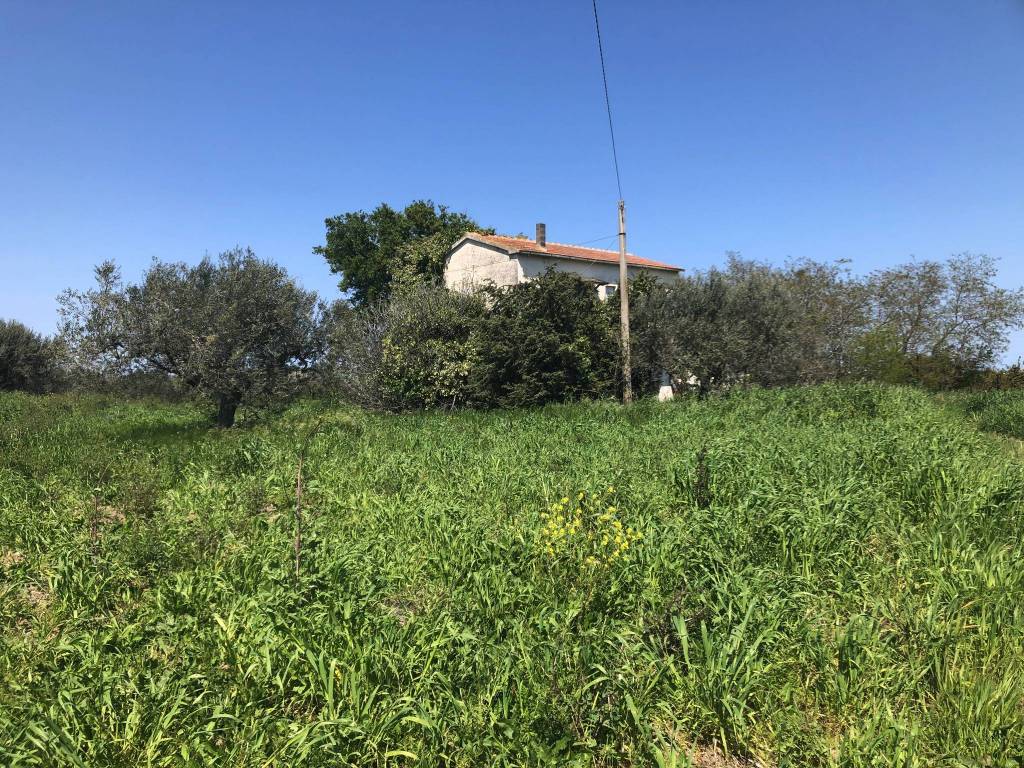 Terreno a Vasto - Foto 5