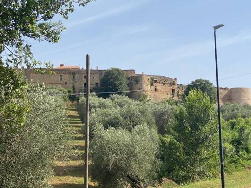 Casa indipendente a Magliano in toscana - Foto 2