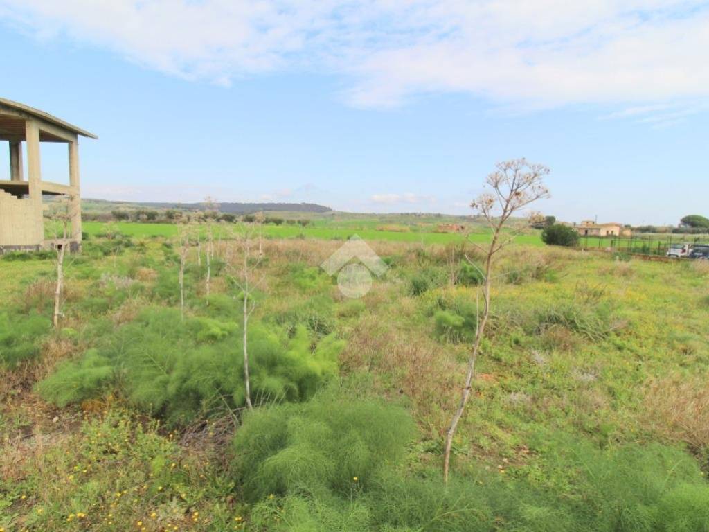 Terreno a Isola di capo rizzuto in Località Santa Domenica - Foto 5