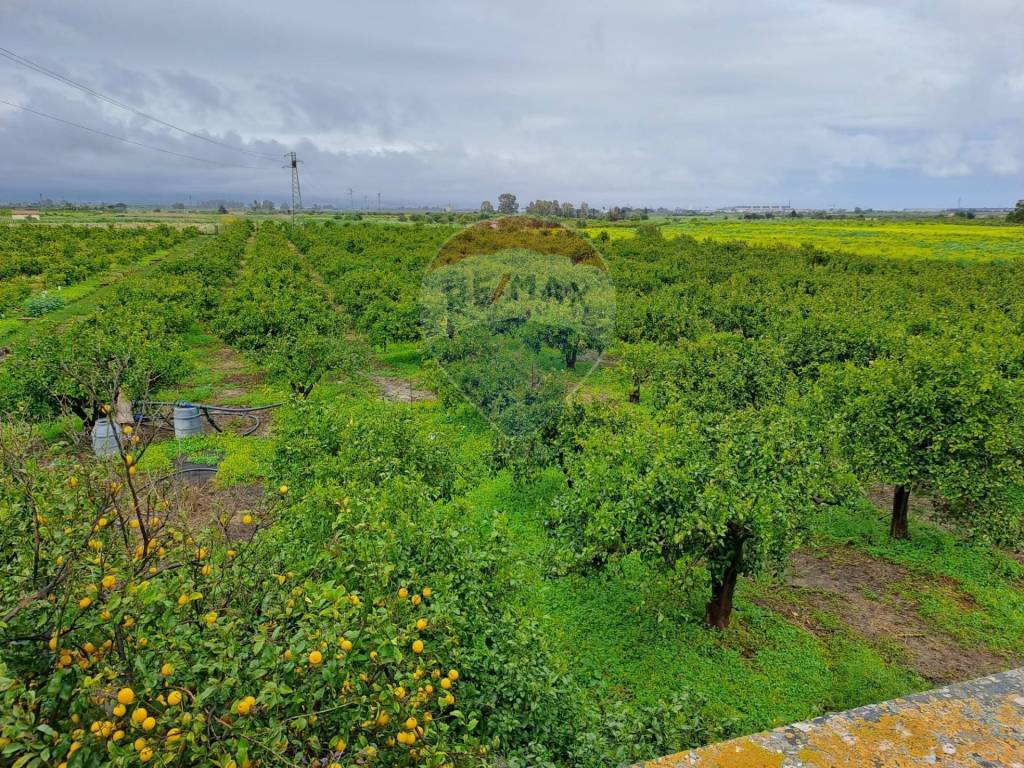 Terreno a Catania - Foto 3