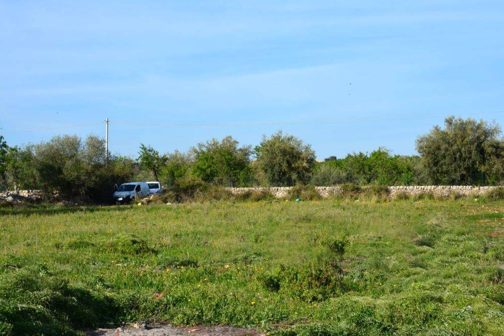Terreno a Noto - Foto 2