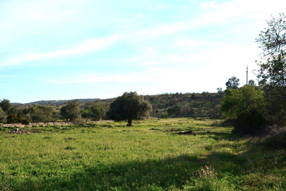 Terreno a Noto - Foto 3