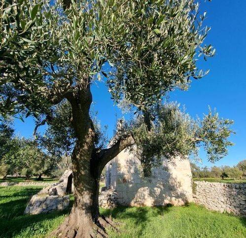 Rustico / casale a Ostuni in Zona: Via Per Carovigno - Foto 2