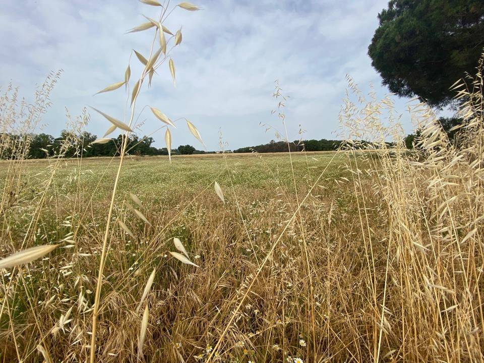 Rustico / casale a Castiglione del lago in Via Vitellino, 46 - Foto 3