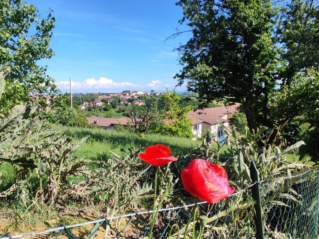 Villa a Grazzano badoglio - Foto 5