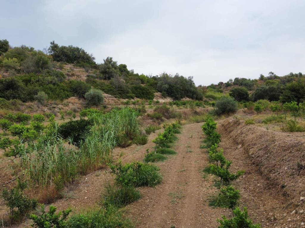 Terreno a Avola in Strada Statale Sud Occidentale Sicula - Foto 2