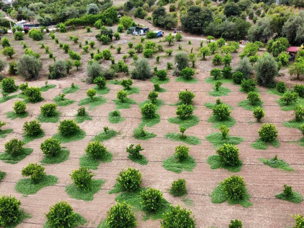 Terreno a Avola in Strada Statale Sud Occidentale Sicula - Foto 3