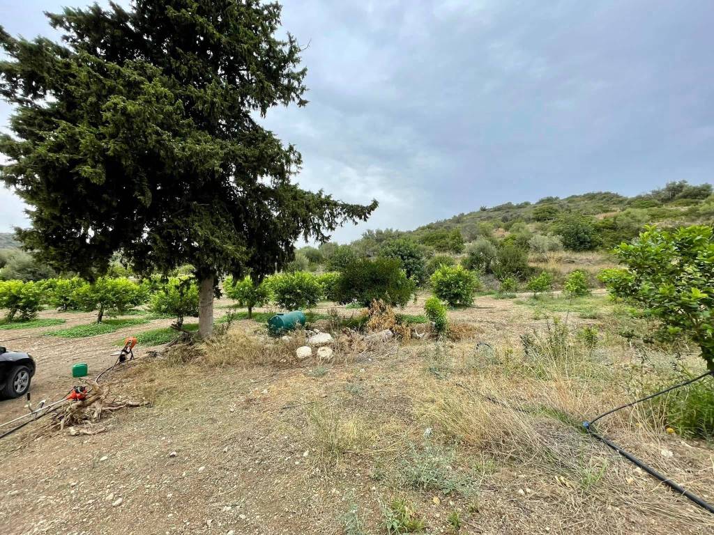 Terreno a Avola in Strada Statale Sud Occidentale Sicula - Foto 4