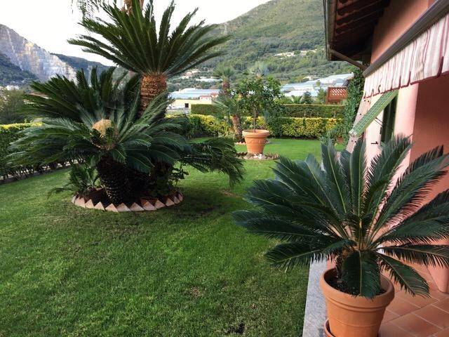 Villa a Ventimiglia in Via Edmondo De Amicis - Foto 3