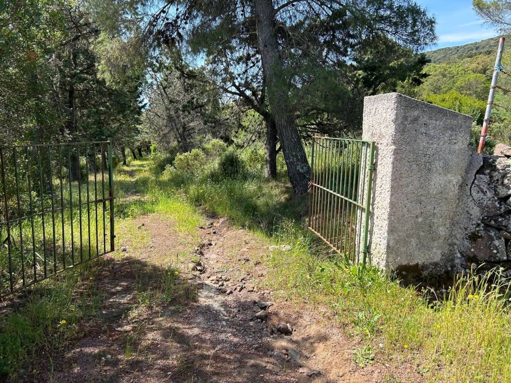 Terreno a Villanova monteleone in Strada Statale Nord Occidentale Sarda N. 292 - Foto 4
