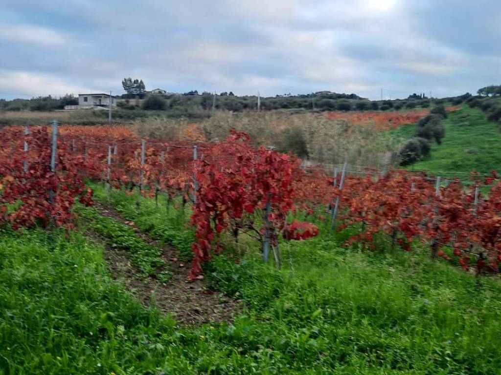 Terreno a Furnari in Contrada Ciurani Masseri - Foto 4