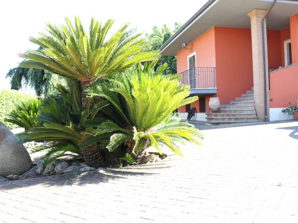 Villa a Cisterna di latina - Foto 4