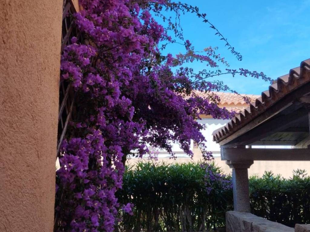 Appartamento a Golfo aranci - Foto 4