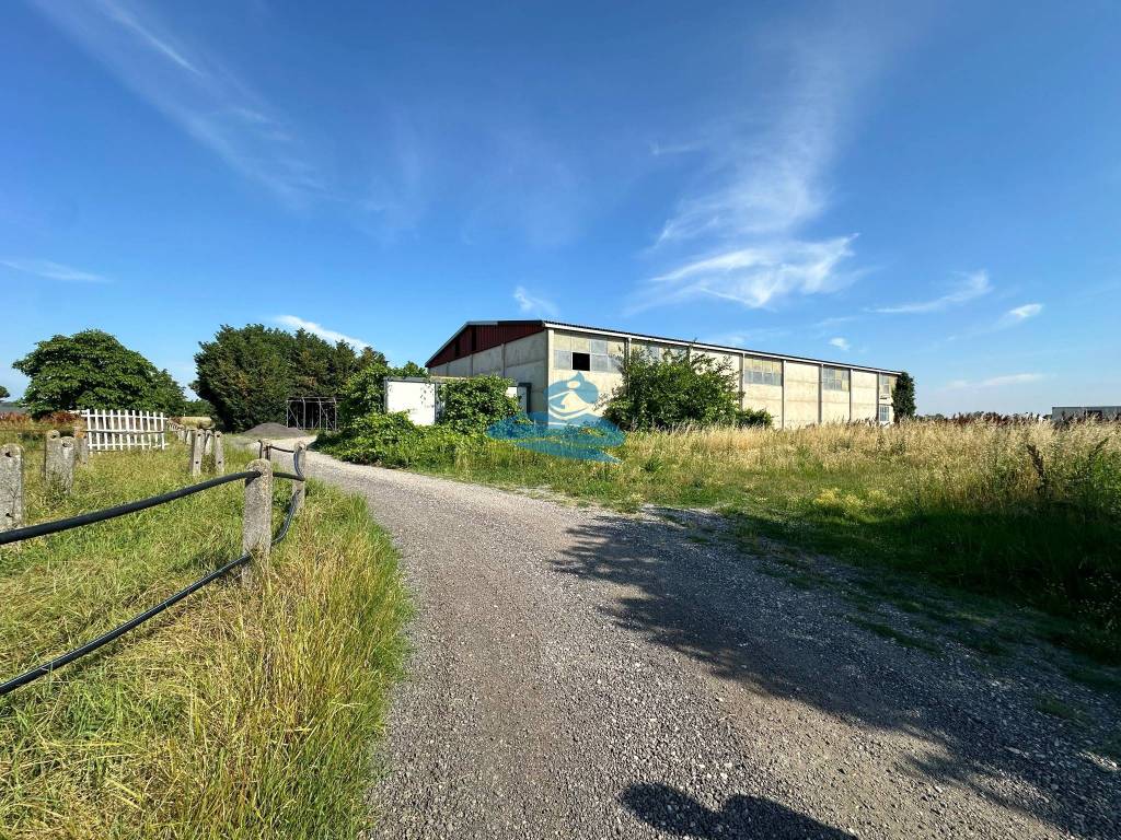 Villa a Russi in Via Bosca, 1 - Foto 3