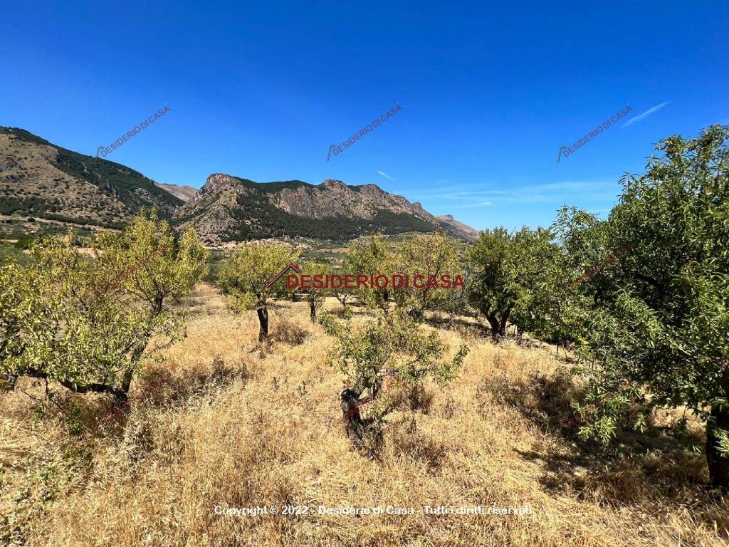 Terreno a Caccamo in Contrada Burgio - Foto 3