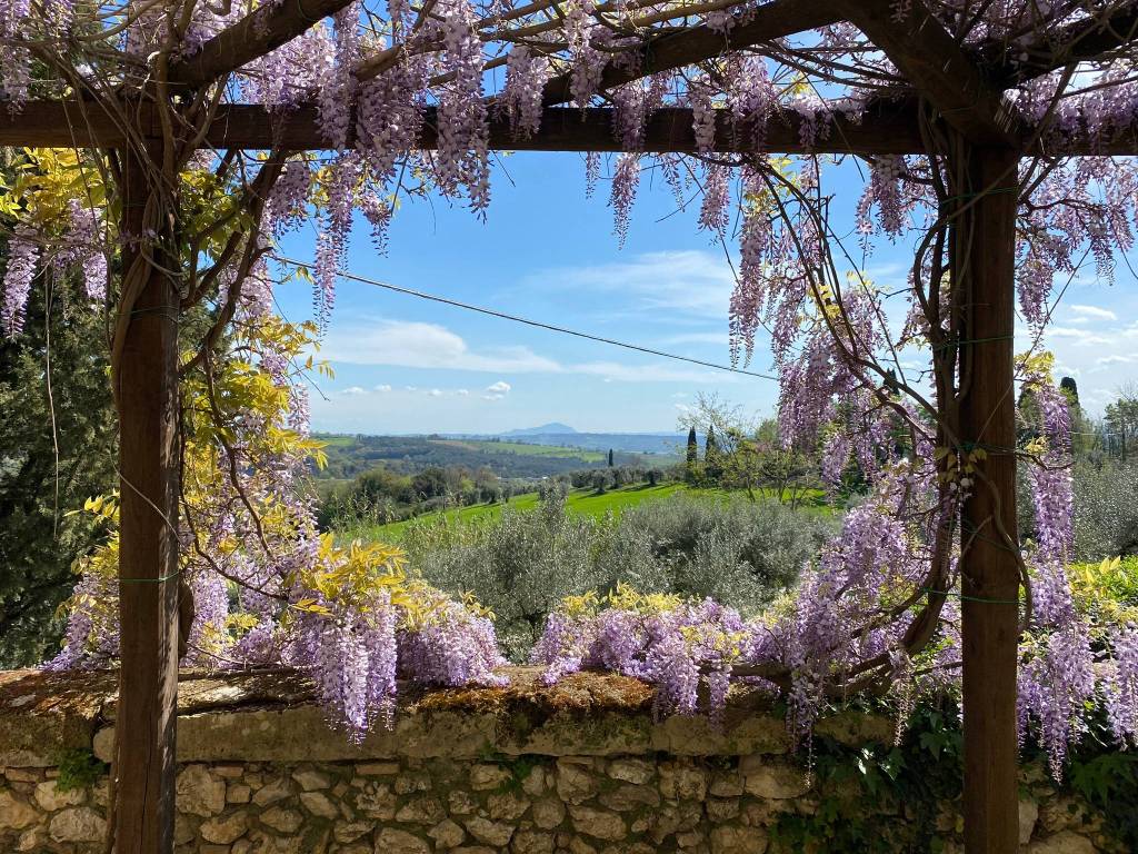 Terreno a Narni in Strada Amerina - Foto 5