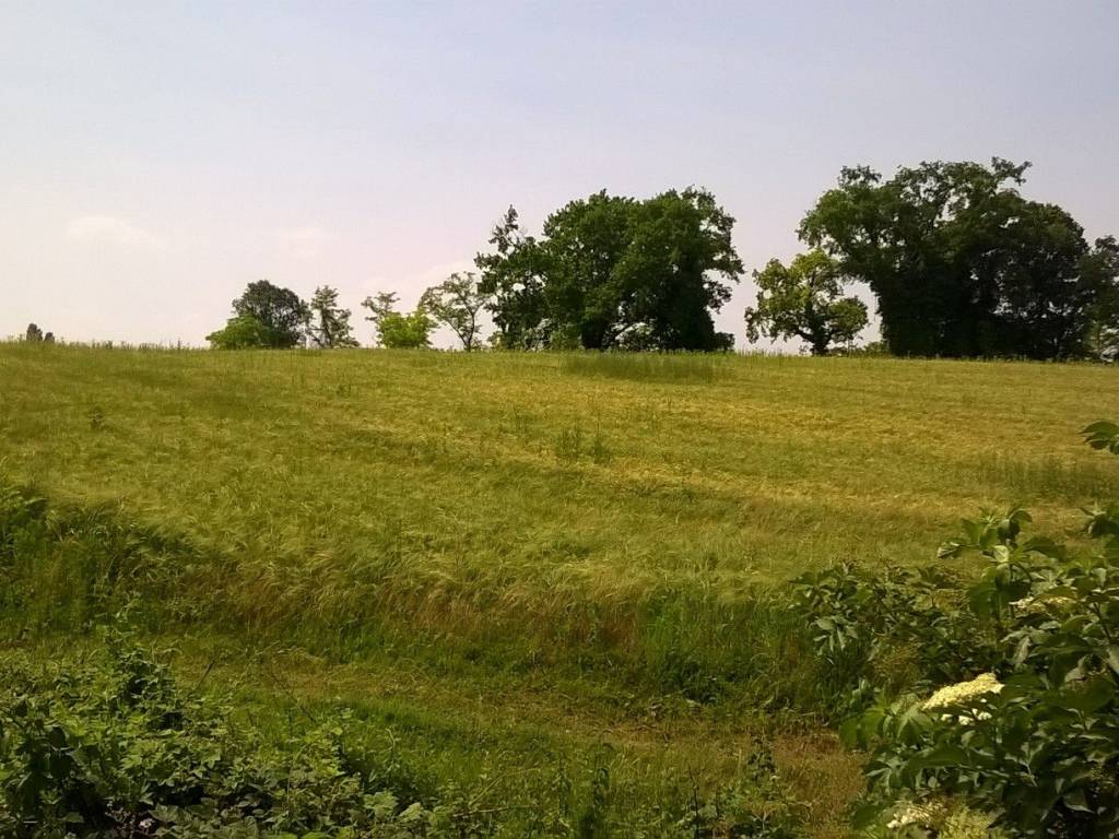 Terreno a Colloredo di monte albano - Foto 4