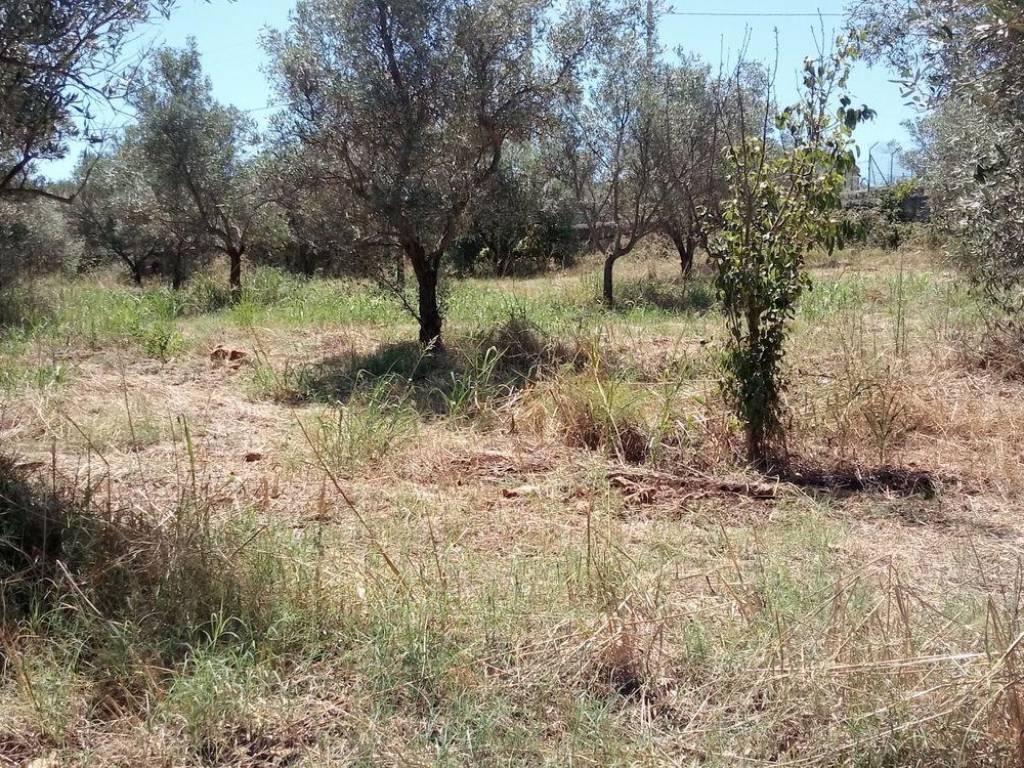 Villa a Melilli in melilli s.n.c - Foto 3