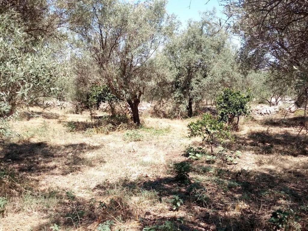 Villa a Melilli in melilli s.n.c - Foto 4