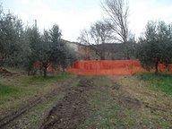 Villa a Massignano - Foto 5