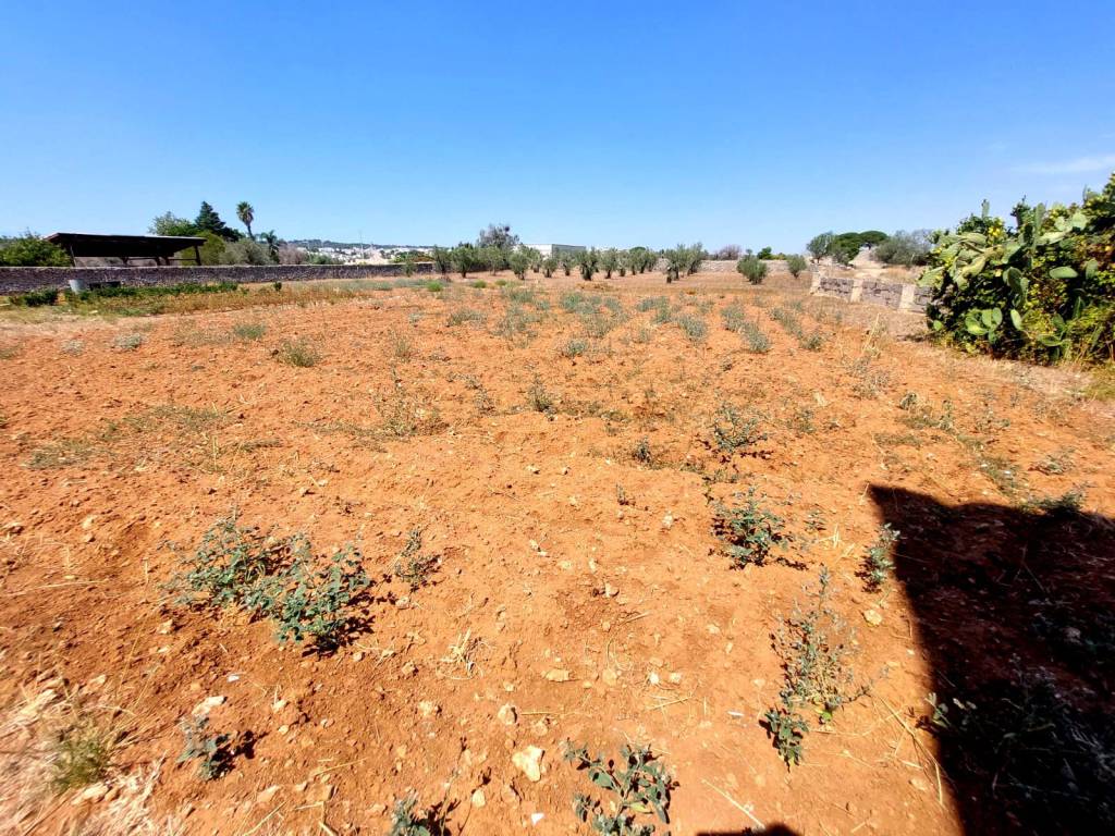 Terreno a Tricase in Via Francesco Borromini - Foto 3