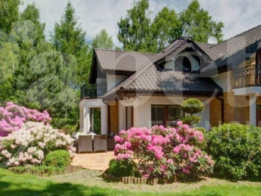 immagine di copertina