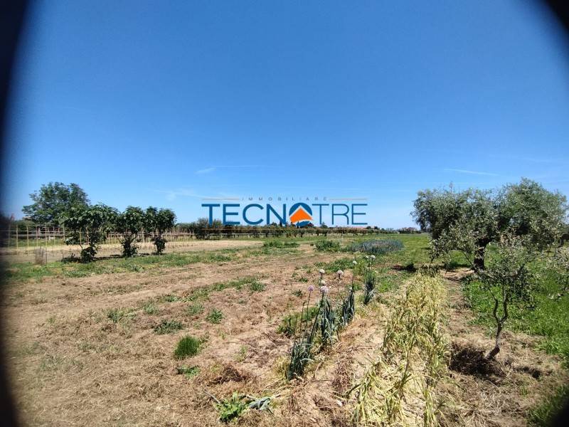 Terreno a Martinsicuro in Via Roma, 685 - Foto 3
