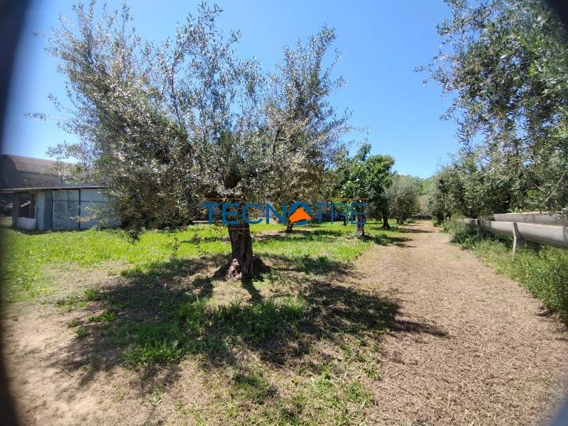 Terreno a Martinsicuro in Via Roma, 685 - Foto 4