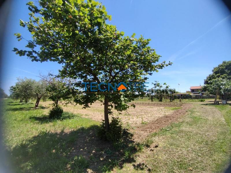 Terreno a Martinsicuro in Via Roma, 685 - Foto 5