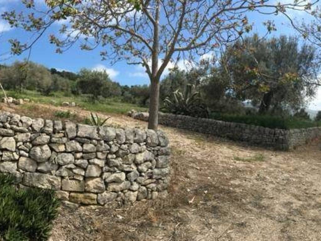 Rustico / casale a Chiaramonte gulfi - Foto 3