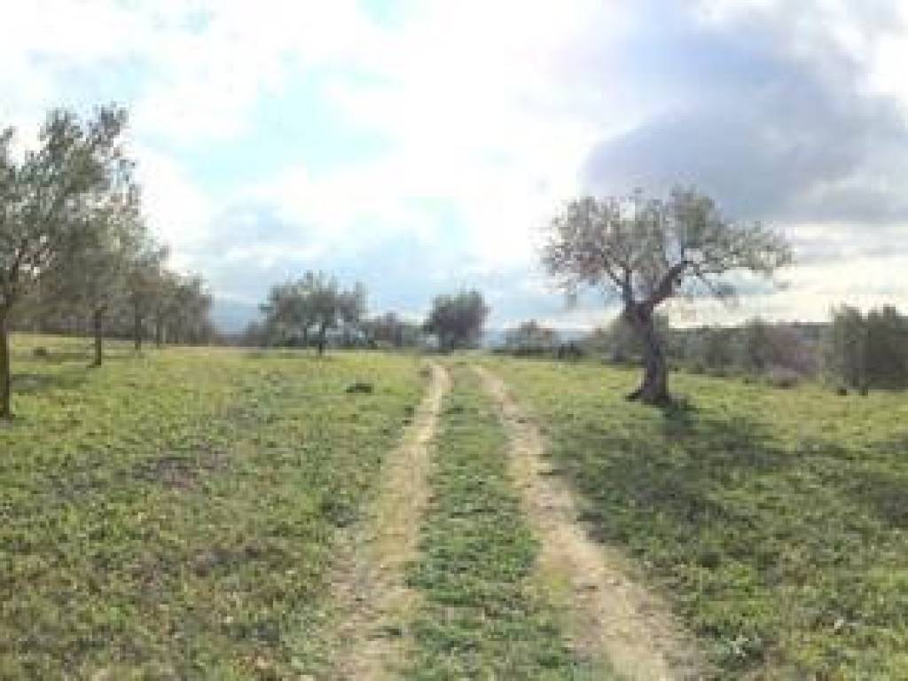 Rustico / casale a Chiaramonte gulfi - Foto 4