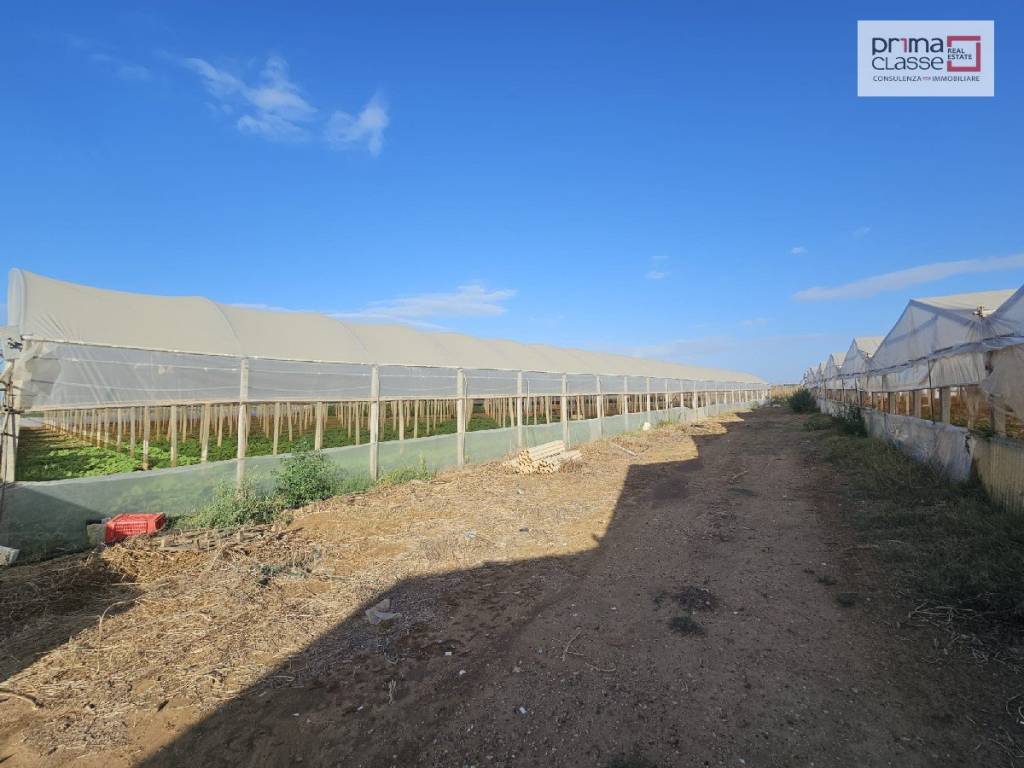 Terreno a Gela in SP193 - Foto 5