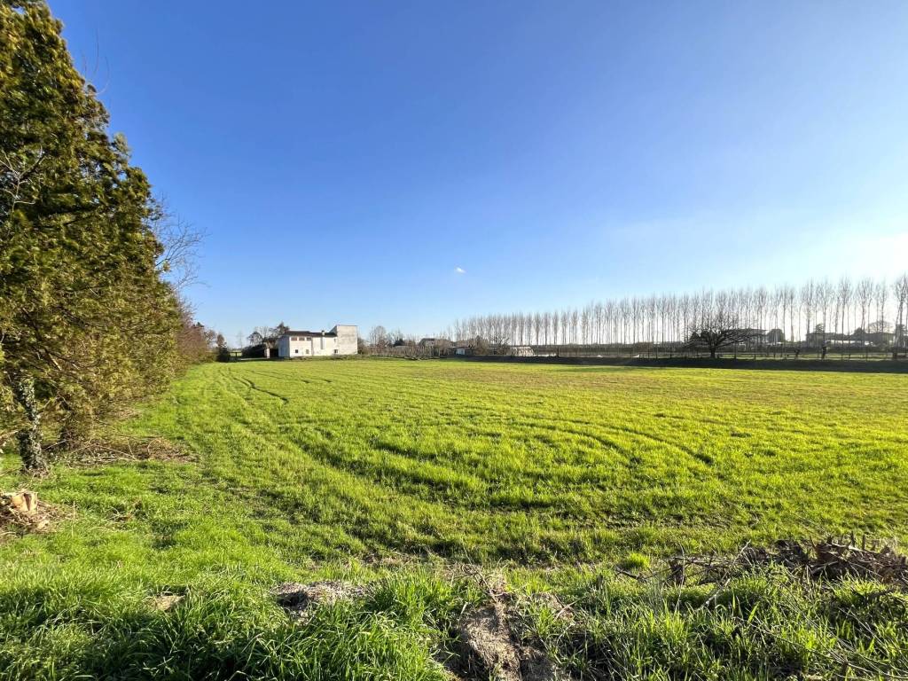 Rustico / casale a Buttapietra in Via marconi, 10 - Foto 2