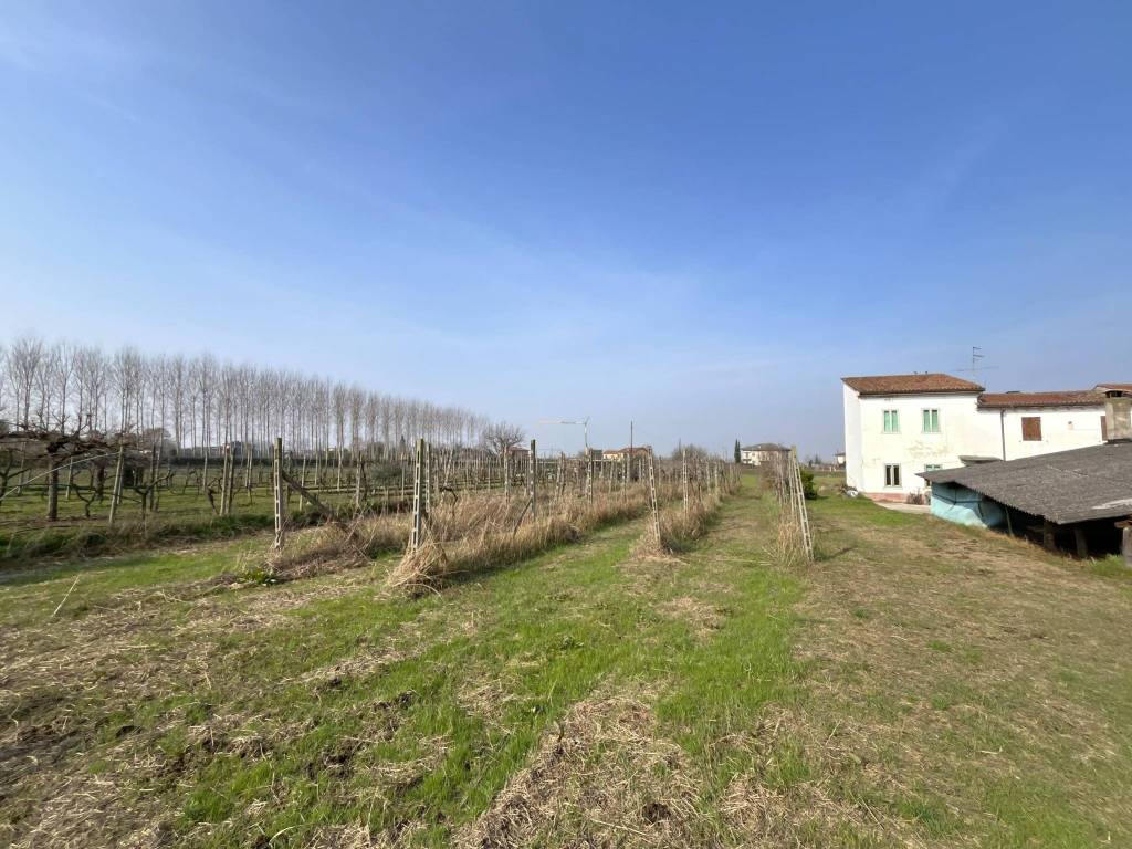 Rustico / casale a Buttapietra in Via marconi, 10 - Foto 4