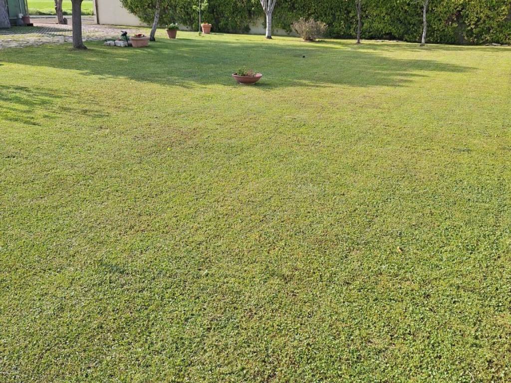 Rustico / casale a Foggia in SS673 - Foto 5