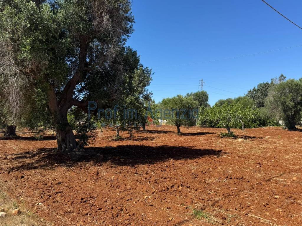 Terreno a Carovigno - Foto 4