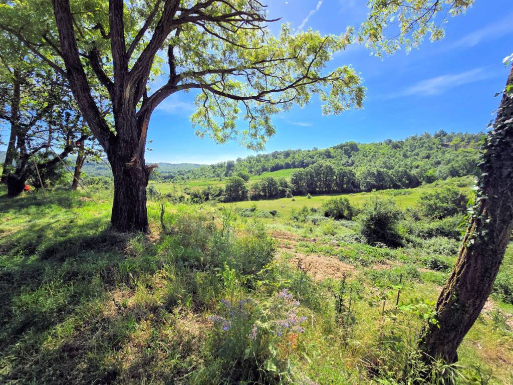 Rustico / casale a Massa marittima - Foto 2