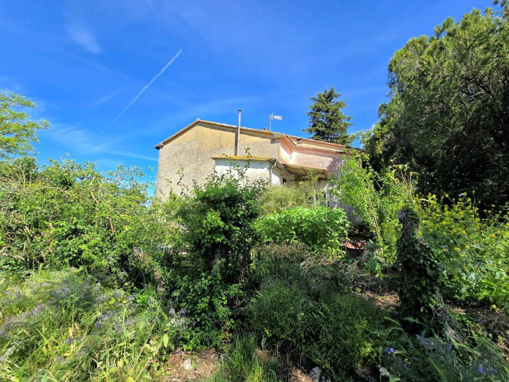 Rustico / casale a Massa marittima - Foto 3