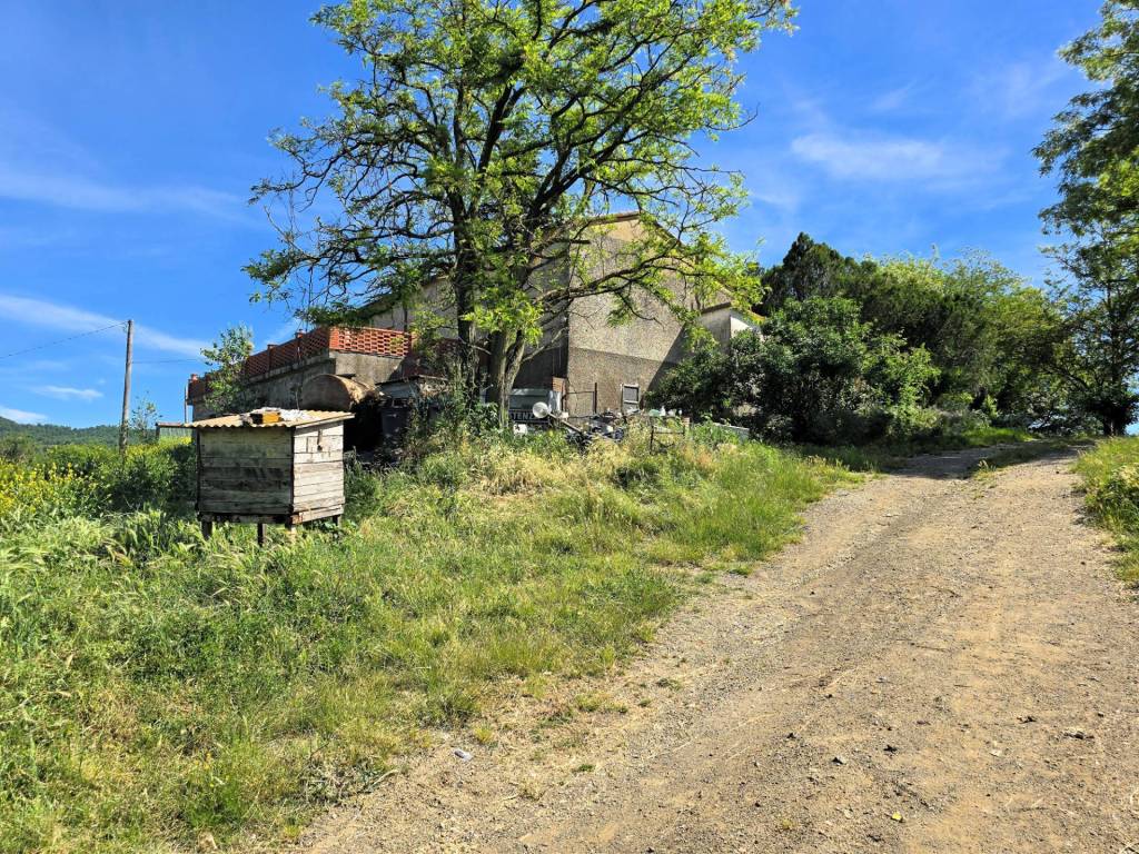 Rustico / casale a Massa marittima - Foto 4