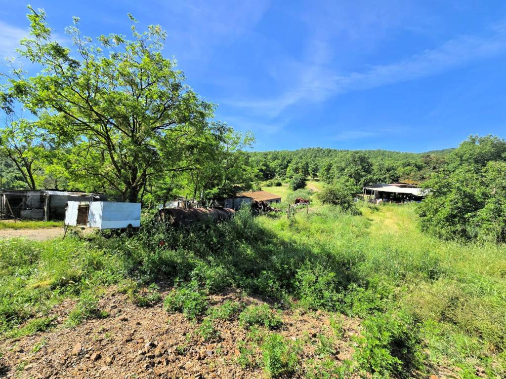 Rustico / casale a Massa marittima - Foto 5