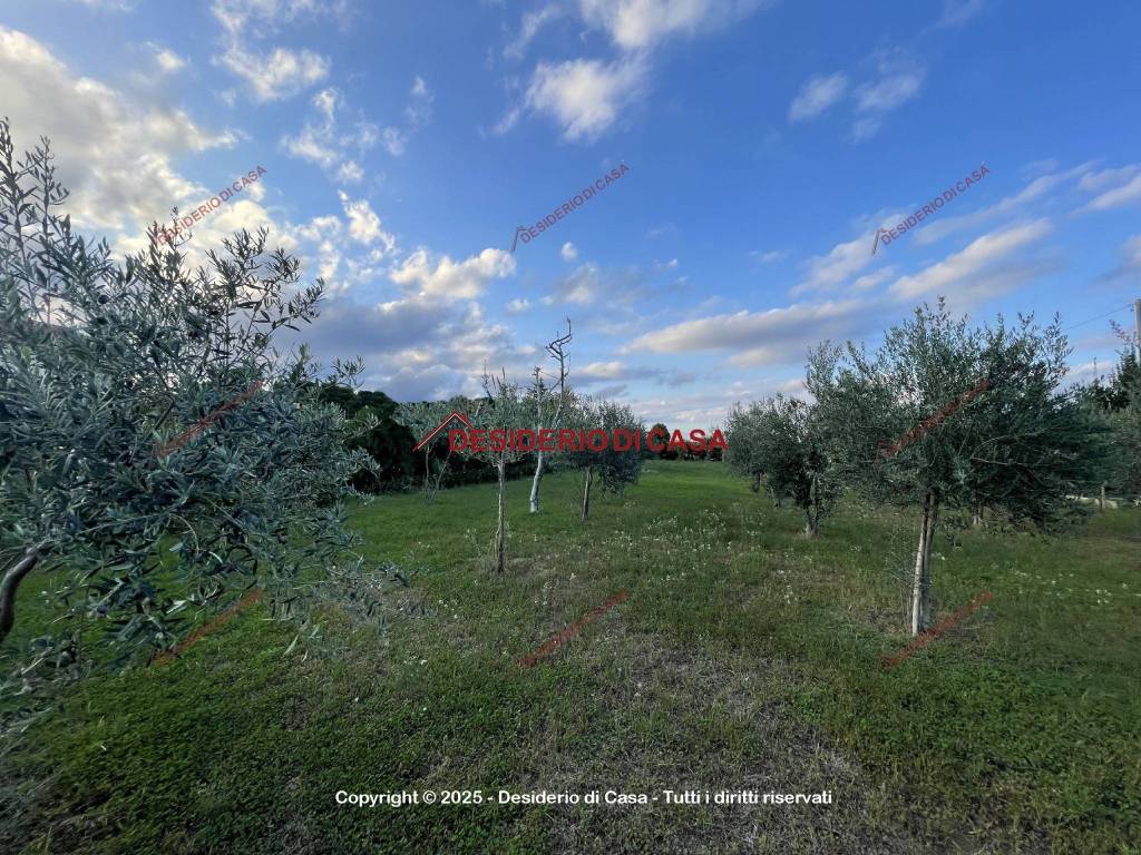 Terreno a Lascari in Contrada Salinelle - Foto 3