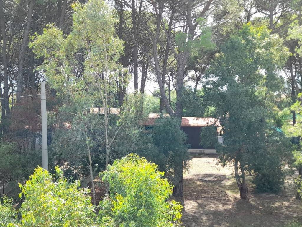 Appartamento a Sellia marina in Località Chiaro - Foto 5