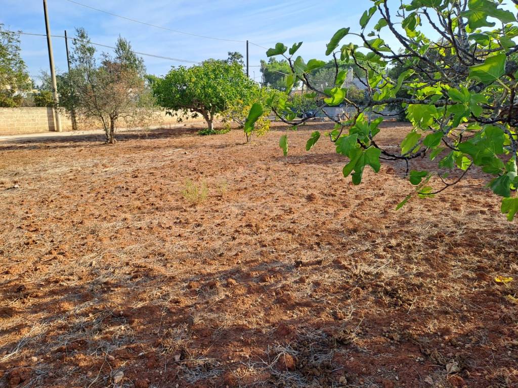 Terreno a Nardò in Via Li Santi, 50 - Foto 3