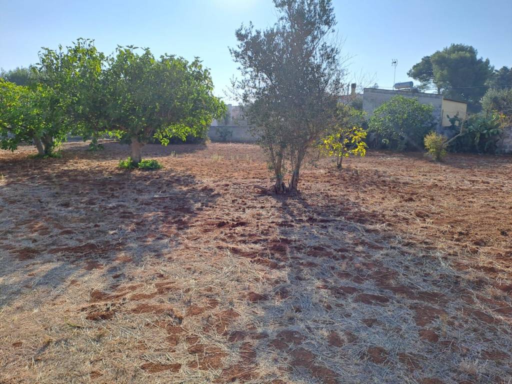 Terreno a Nardò in Via Li Santi, 50 - Foto 4
