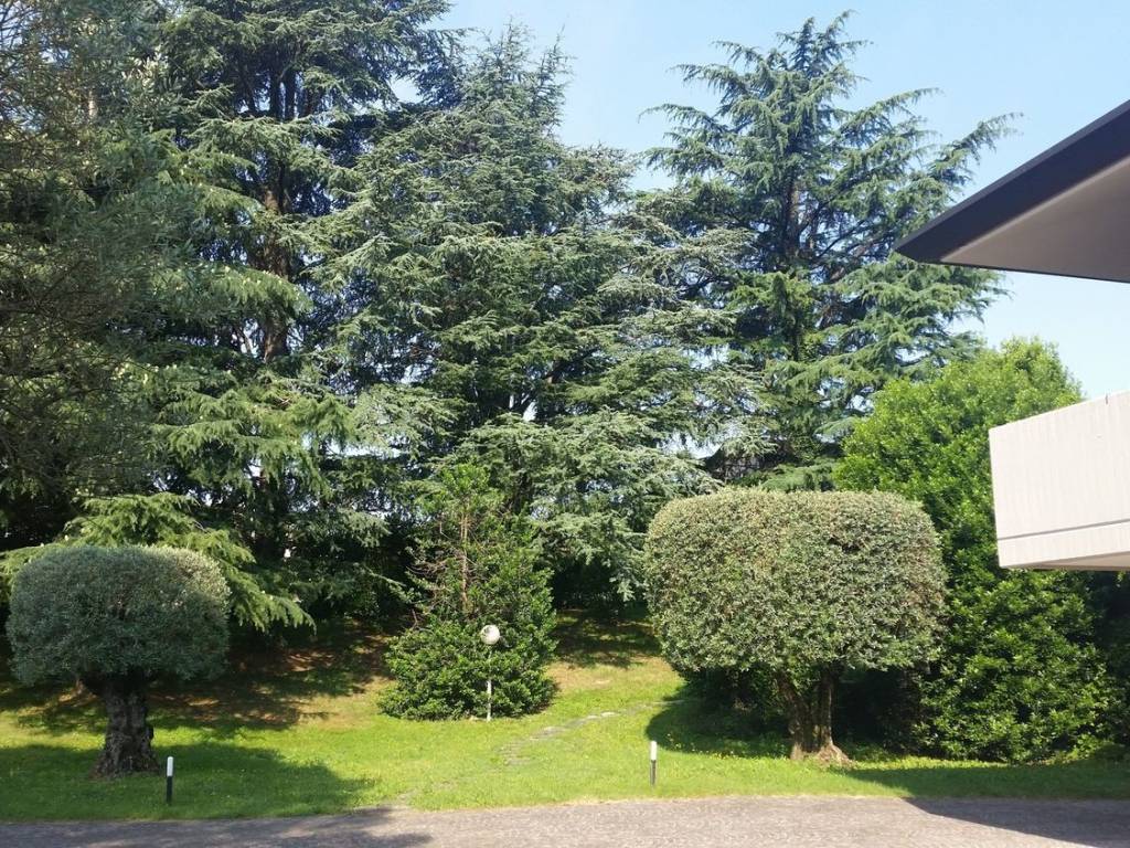Villa a Corno di rosazzo - Foto 2