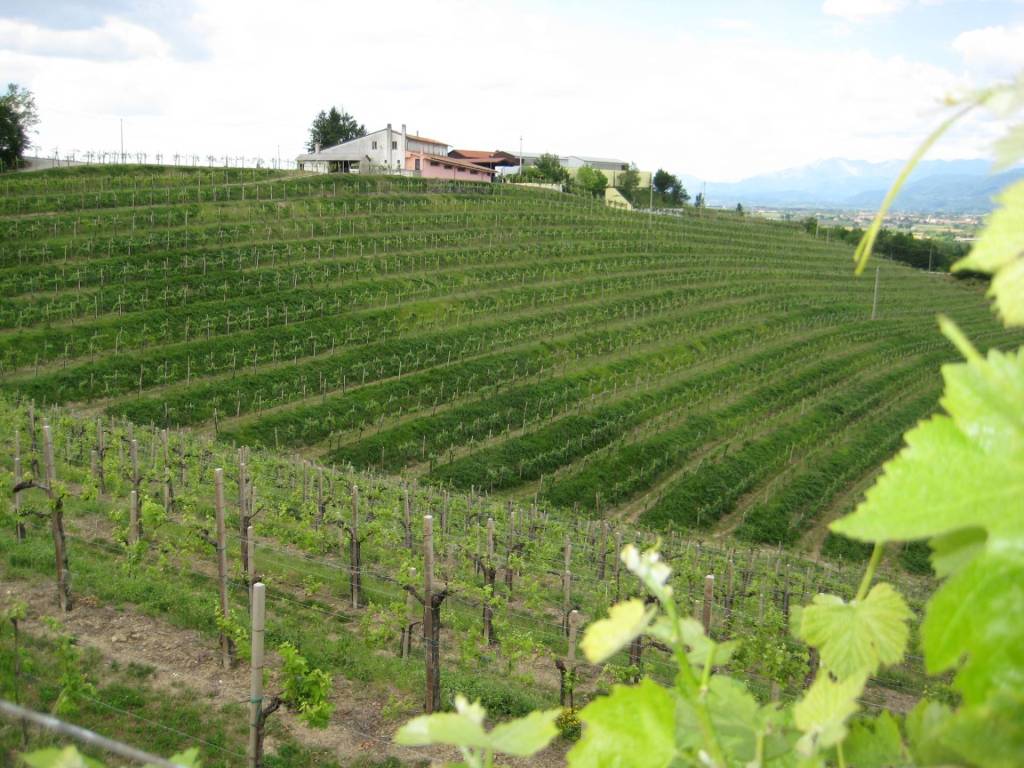 Immobile a Cividale del friuli in Strada S. Anna, Cividale del Friuli, 44 - Foto 2