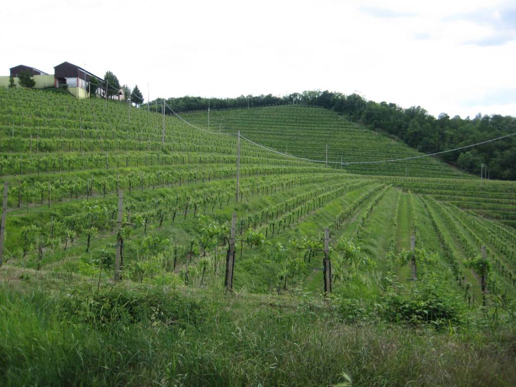 Terreno a Cividale del friuli in Spessa, Cividale del Friuli - Foto 2