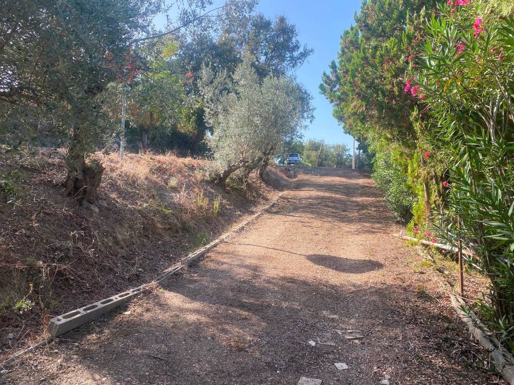 Terreno a Recanati in CONTRADA ADDOLORATA - Foto 3