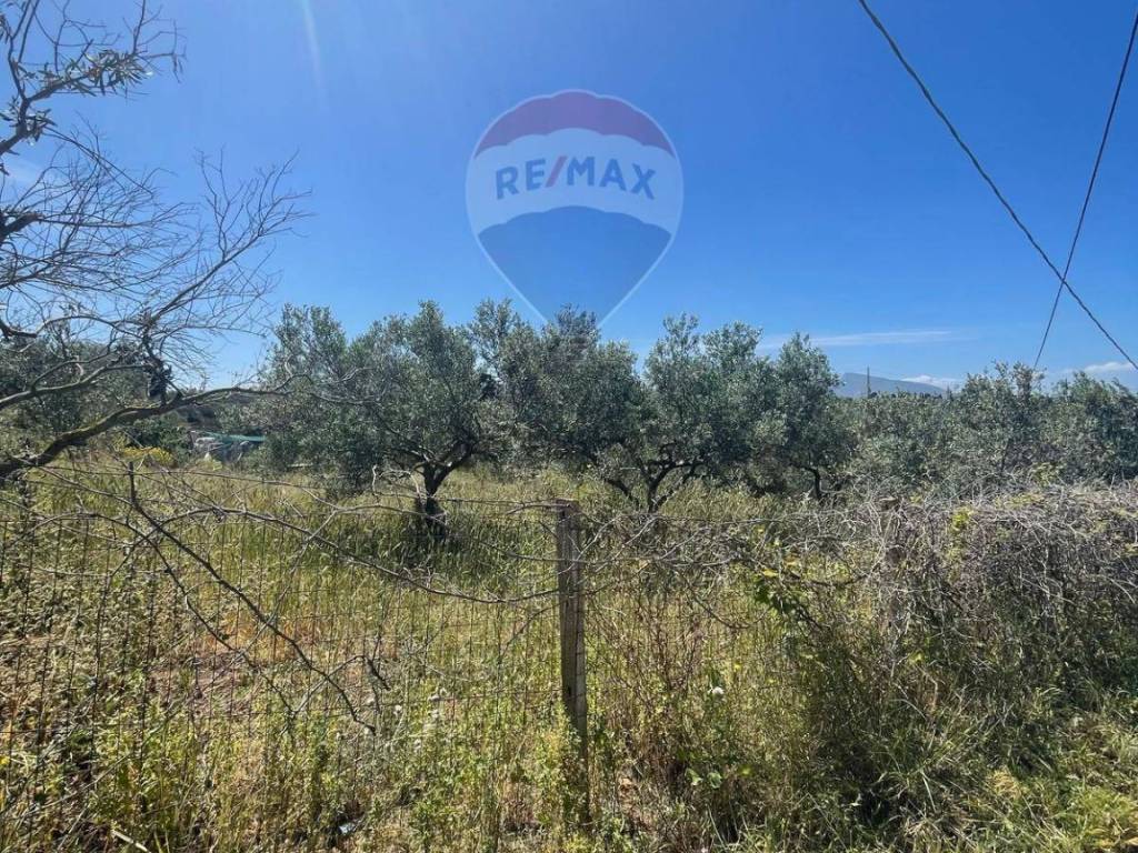 Terreno a Balestrate in Contrada Settepani - Foto 4